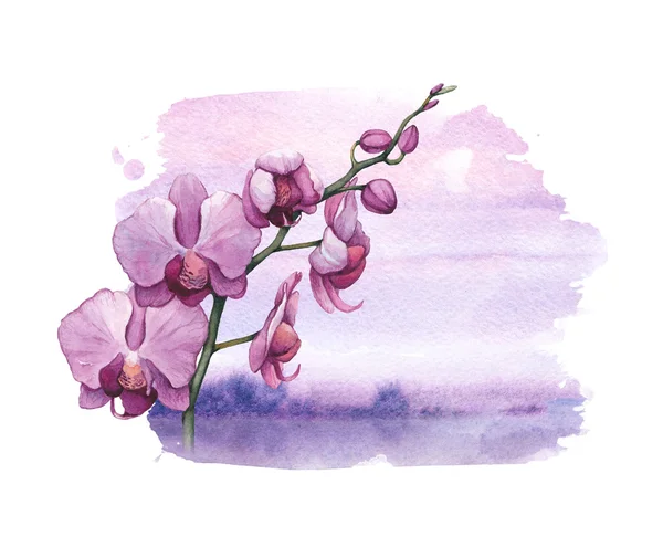 Suluboya orkide çiçekleri ile arka plan — Stok fotoğraf