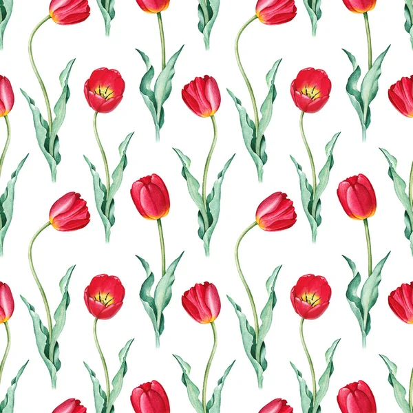 Tulip flowers. Watercolor seamless pattern — Stock Photo, Image