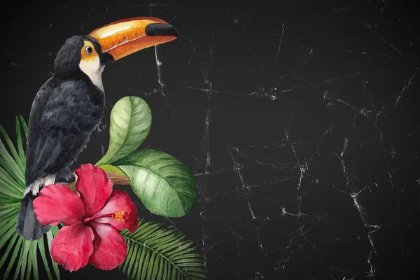 热带花卉和一只鸟的插图 — 图库照片