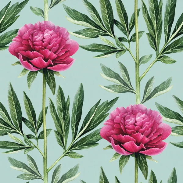 Иллюстрация цветов акварели . — стоковое фото