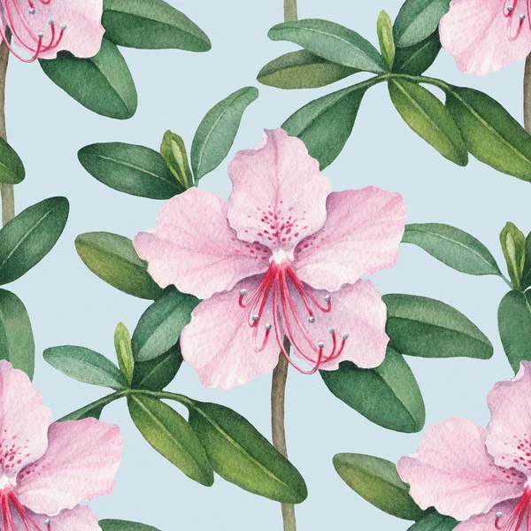 Watercolor illustrations of flowers — Stock Photo, Image