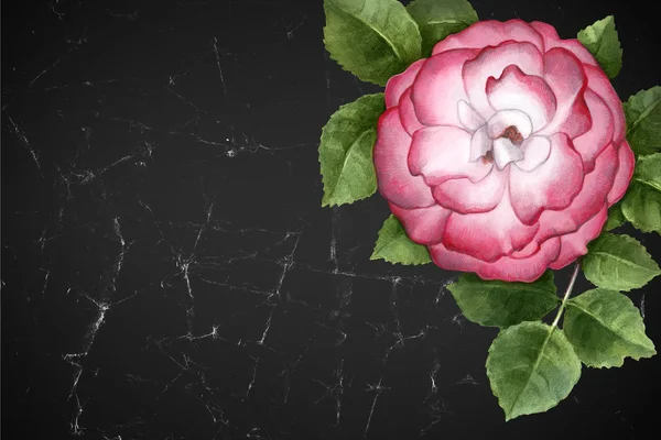 Aquarel illustratie van rose bloem. — Stockfoto