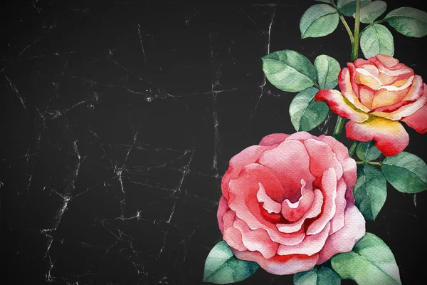 Acuarela ilustración de flores de rosas . — Foto de Stock
