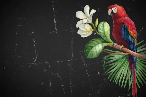 Ilustração de flores tropicais e um pássaro — Fotografia de Stock