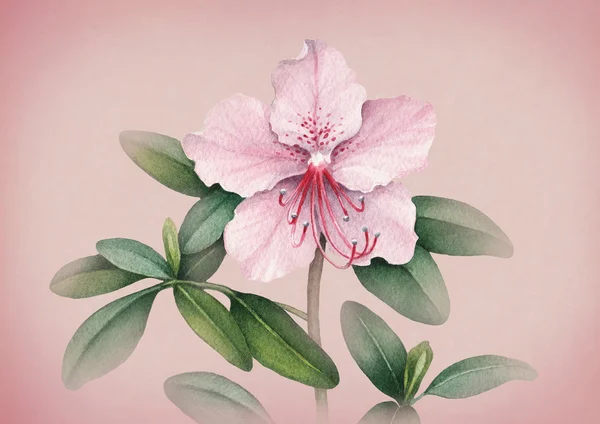 Watercolor spring flower illustration — Stock Photo, Image