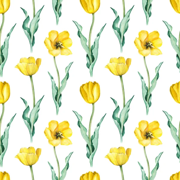 Квіти тюльпанів. Акварельний безшовний візерунок — стокове фото