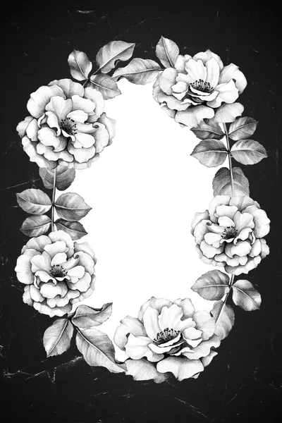 Sfondo con disegni di fiori di rosa selvatica. Perfetto per il saluto — Foto Stock