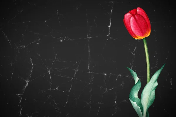 Aquarell Tulpenblüte. perfekt für Grußkarten — Stockfoto