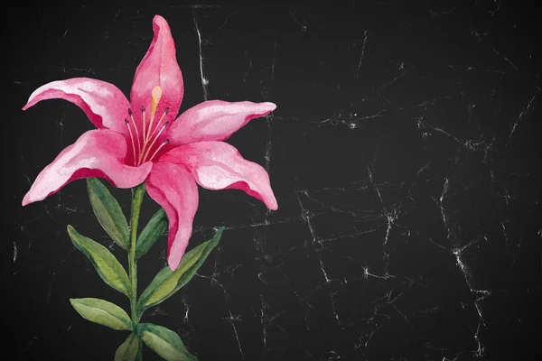 Fiore giglio acquerello. Perfetto per biglietti di auguri o inviti — Foto Stock