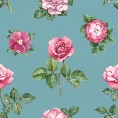 Suluboya gül deseni