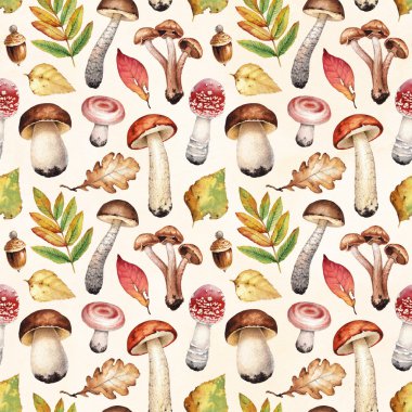 mantar suluboya çizimi.