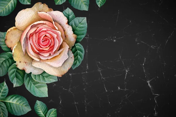 Aquarel illustratie van rose bloem — Stockfoto