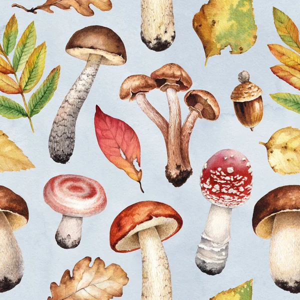 Watercolor illustration of mushrooms. — Stock Photo, Image