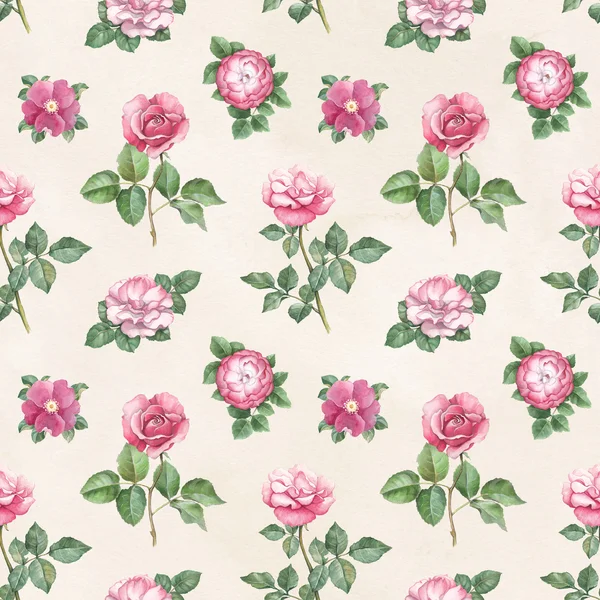 Watercolor rose  pattern — Stock Photo, Image