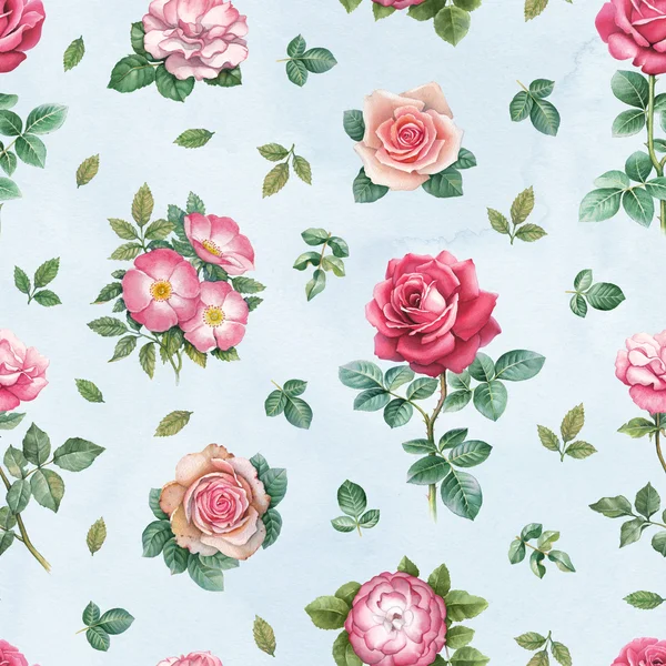 Watercolor rose  pattern — Stock Photo, Image