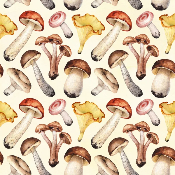 Illustrazione ad acquerello di funghi . — Foto Stock