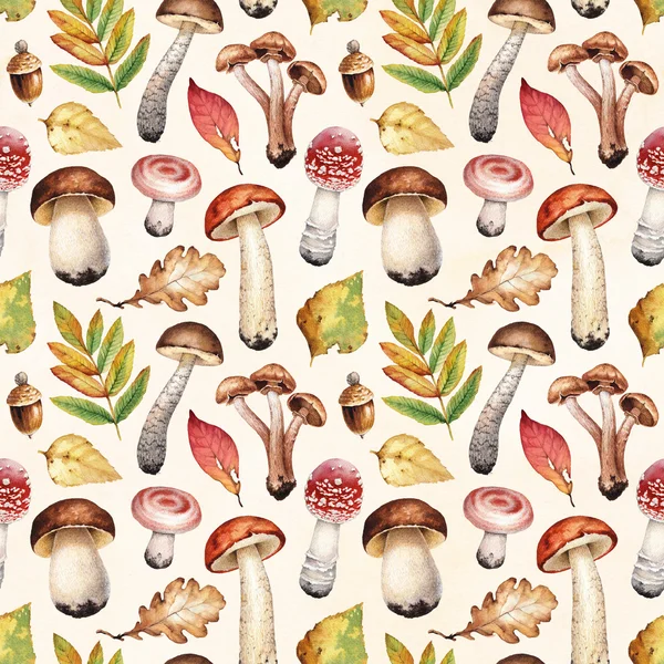 Ilustração aquarela de cogumelos . — Fotografia de Stock