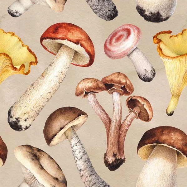 Aquarell-Illustration von Pilzen. — Stockfoto