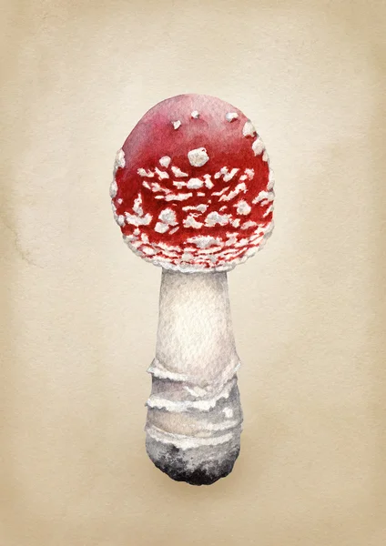 Ilustração a aquarela de um cogumelo — Fotografia de Stock