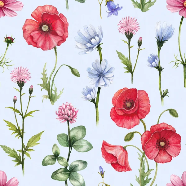 Illustrations de fleurs sauvages. Aquarelle motif sans couture — Photo