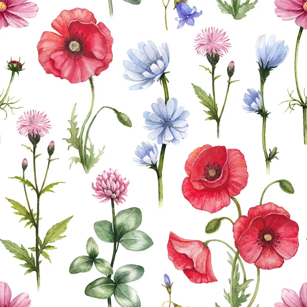 Wild flowers illustrations. Watercolor seamless pattern — Stock Photo, Image