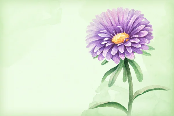 Watercolor illustration of flower — Stock Photo, Image