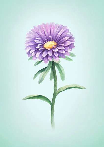 Illustrazione ad acquerello di fiore — Foto Stock