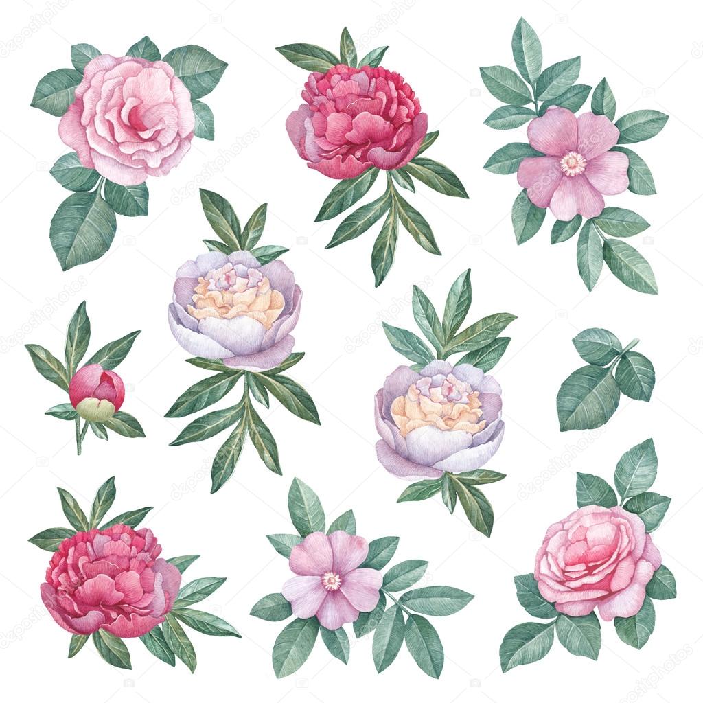 Watercolor flowers illustration Stock Photo by ©Sashsmir 110934328