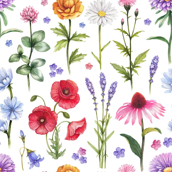 야생 꽃 패턴 — 스톡 사진