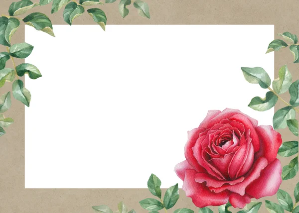 Watercolor rose flower card — Stock Photo, Image