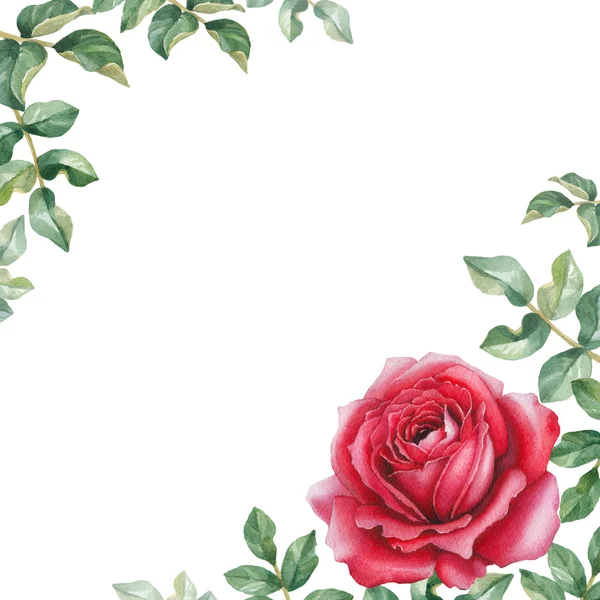 Akvarell Rózsa virág-kártya — Stock Fotó