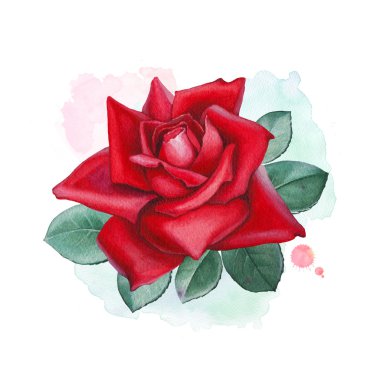 Suluboya gül çiçek kartı