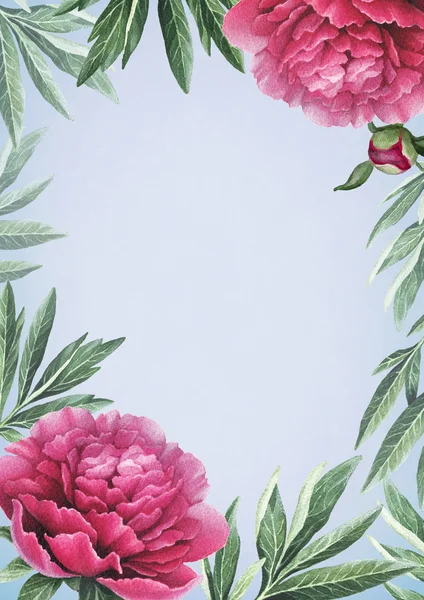 Watercolor peony flowers card — Stock Photo, Image