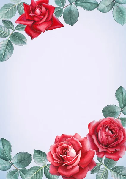 Carte fleurs roses — Photo