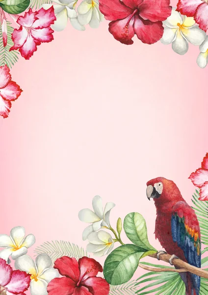 Flores tropicais e um cartão de pássaro — Fotografia de Stock