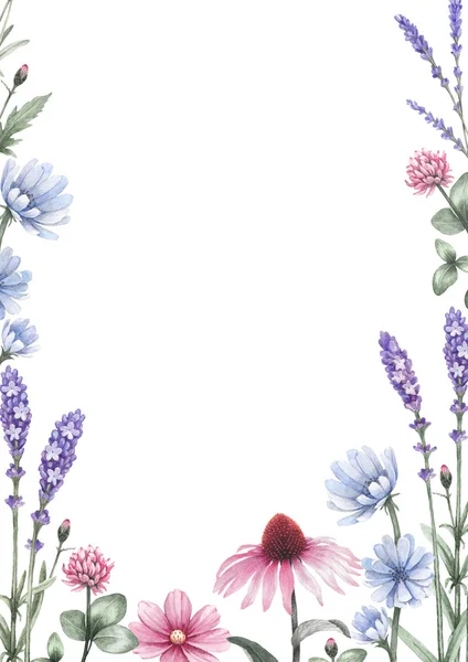 Watercolor wild flowers. — Stock Photo, Image