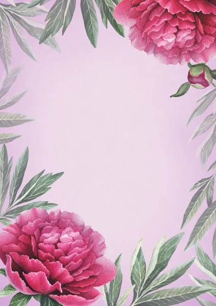 Cartão de flores de peônia aquarela — Fotografia de Stock