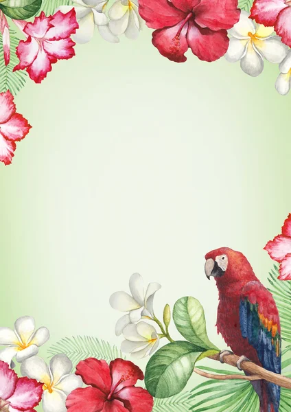 Tropical flowers and a bird card — Stock Photo, Image