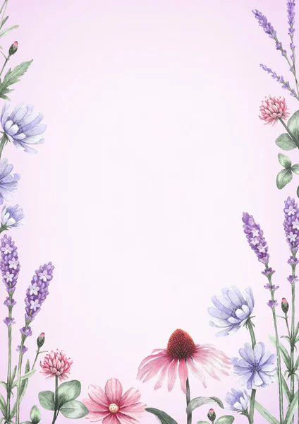 Aquarel wilde bloemen. — Stockfoto