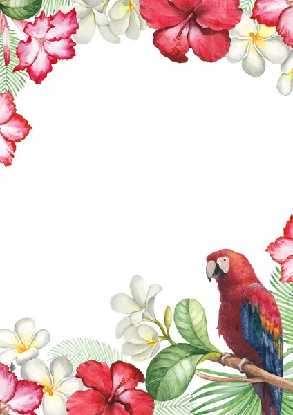 Tropikal çiçek ve kuş kart — Stok fotoğraf