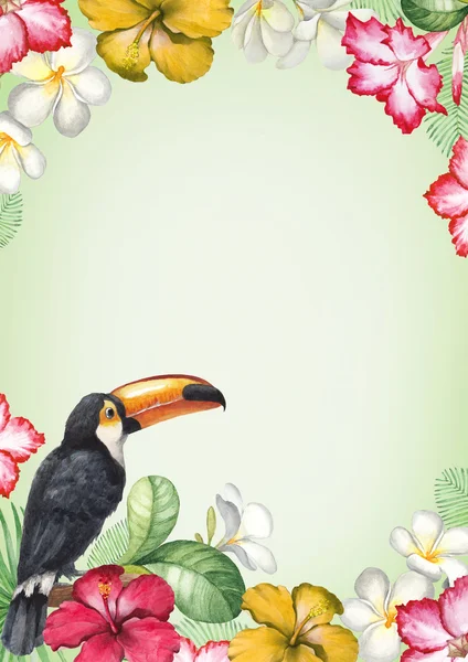Trópusi virágok és a madarak kártya — Stock Fotó