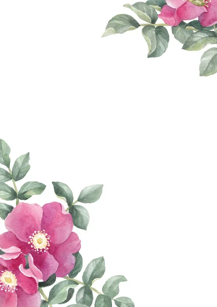 Акварельна ілюстрація диких троянд. Ідеально підходить для вітальної листівки — стокове фото