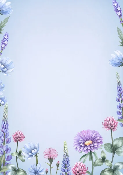 Suluboya kır çiçekleri. Yaz arka plan — Stok fotoğraf