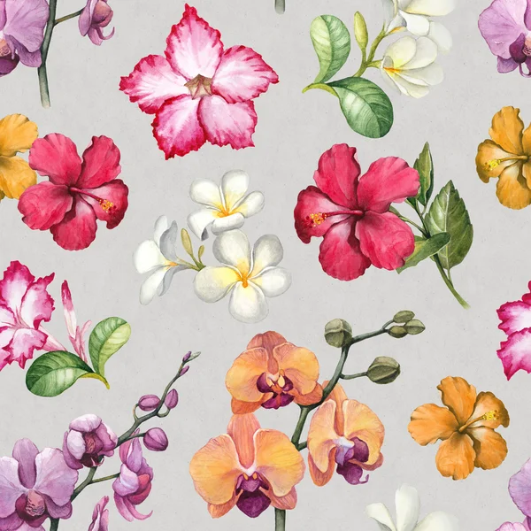 수채화 꽃 열 대 패턴 — 스톡 사진