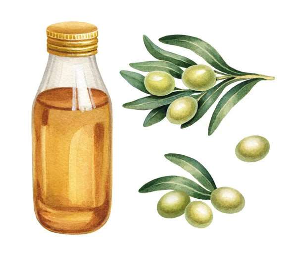 Acuarela de aceitunas y aceite de oliva — Foto de Stock