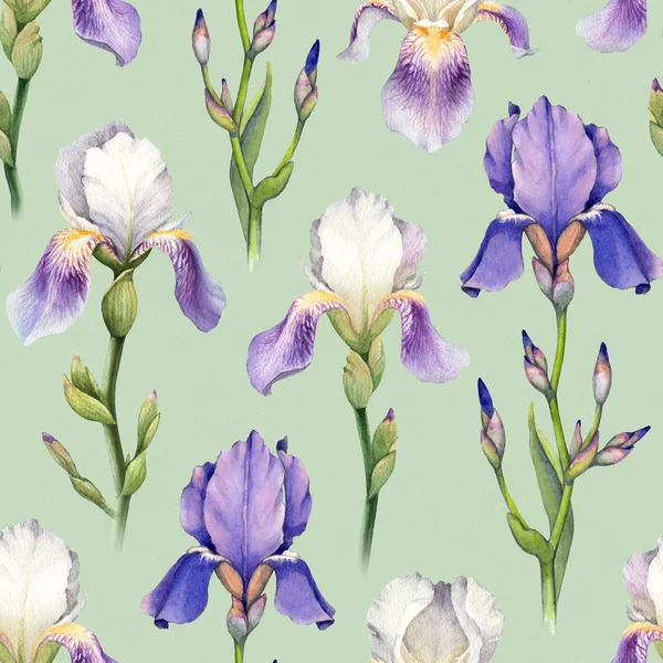 Watercolor iris flowers pattern — Stock Photo, Image