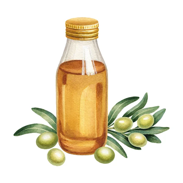 Acuarela de aceitunas y aceite de oliva — Foto de Stock