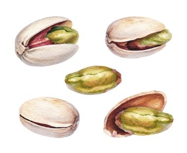 Fıstıklı suluboya.