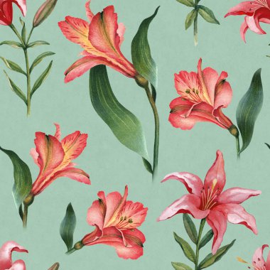 Kırmızı lily çiçek deseni