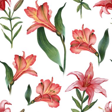 Kırmızı lily çiçek deseni